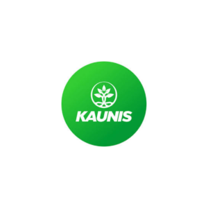 Kaunis
