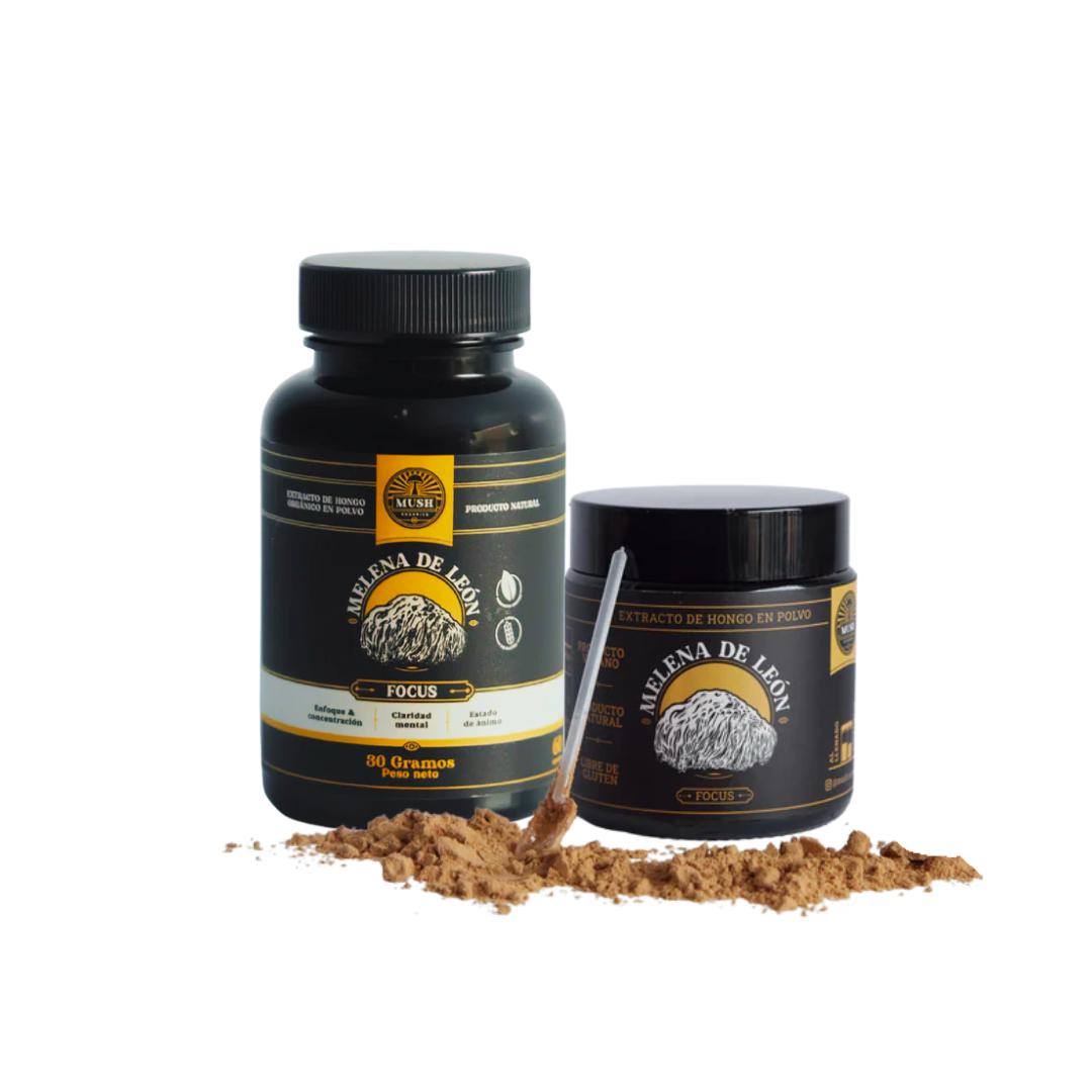 melena de león hongo Mush Raisana