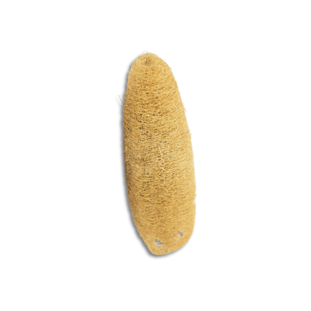 esponja vegetal de luffa natural Raisana